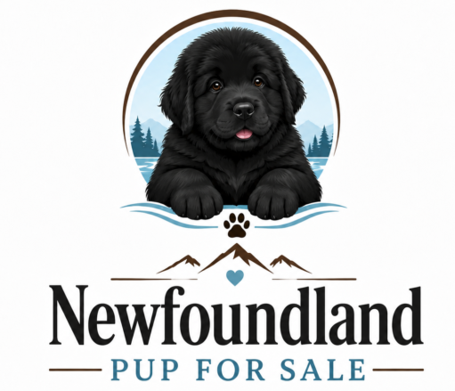 https://newfoundlandpuppforsale.com